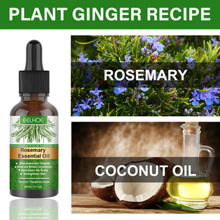Rosemary Essential Oil / Hair Growth Oil / Hair Care Essential Oil 30ml